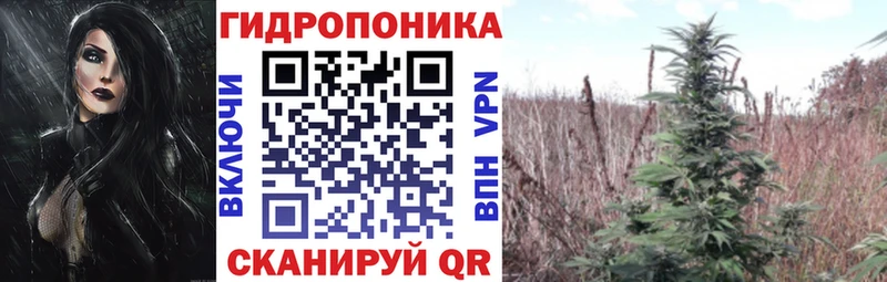 Купить закладку Марихуана  Псилоцибиновые грибы  А ПВП  Гашиш  Меф  Маркс