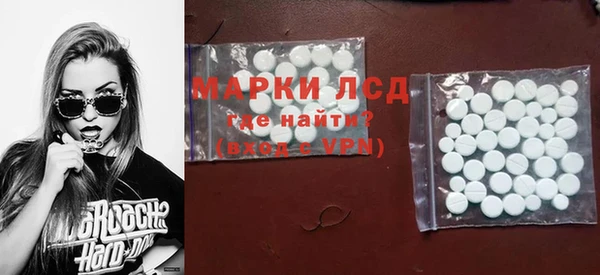 шишки Карпинск