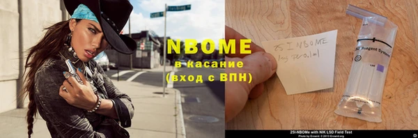шишки Карпинск