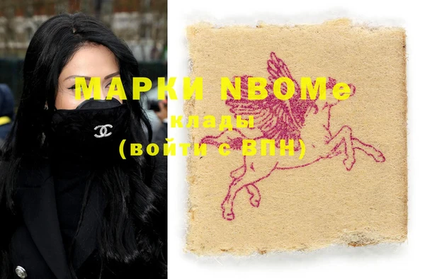 шишки Карпинск
