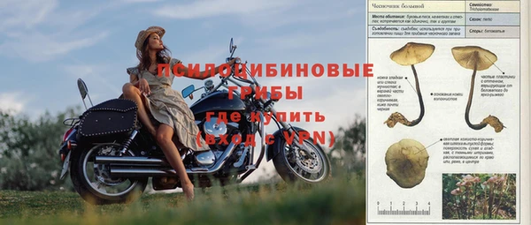 бошки Кинешма