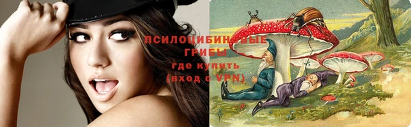 стафф Карталы